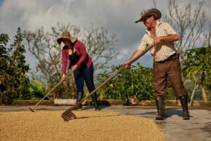 Proveedores de café colombiano