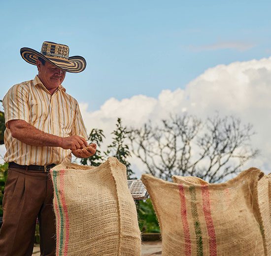 proveedores-de-café-Destacada-Colcafé